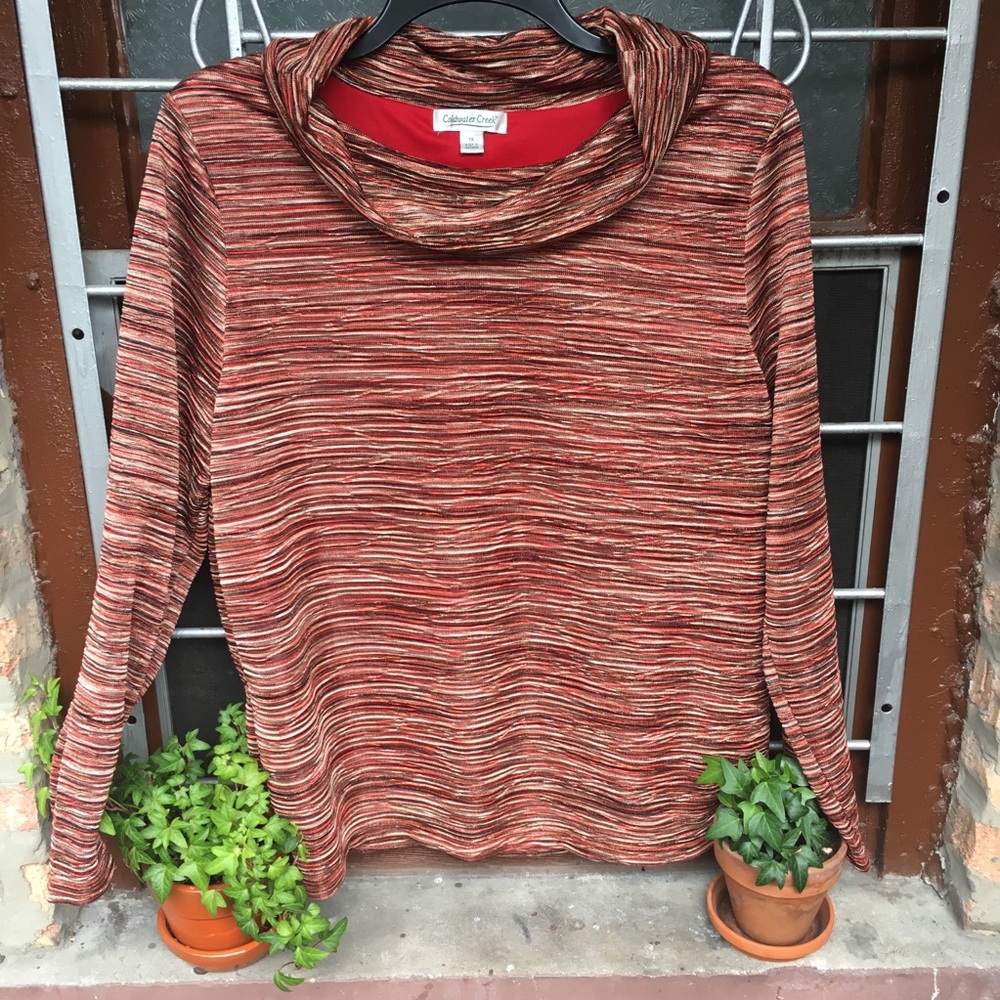 Coldwater Creek metallic stripe dressy cowl neck